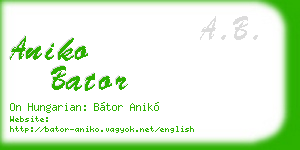aniko bator business card
