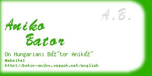 aniko bator business card